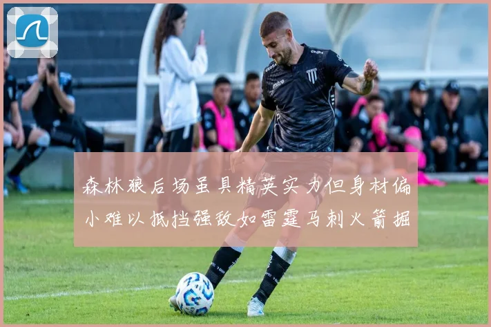 森林狼后场虽具精英实力但身材偏小难以抵挡强敌如雷霆马刺火箭掘金