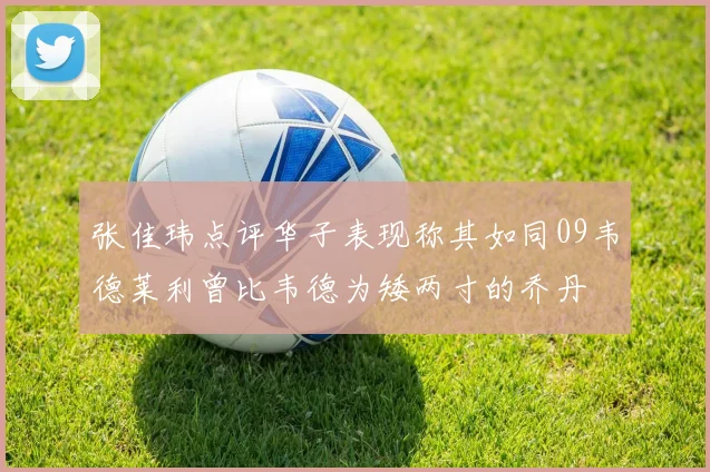 张佳玮点评华子表现称其如同09韦德莱利曾比韦德为矮两寸的乔丹