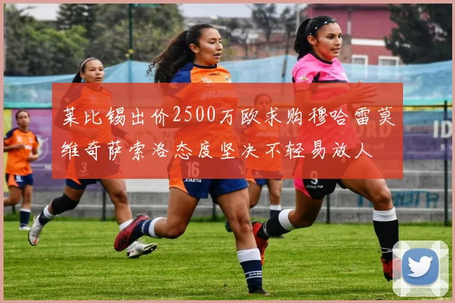 莱比锡出价2500万欧求购穆哈雷莫维奇萨索洛态度坚决不轻易放人